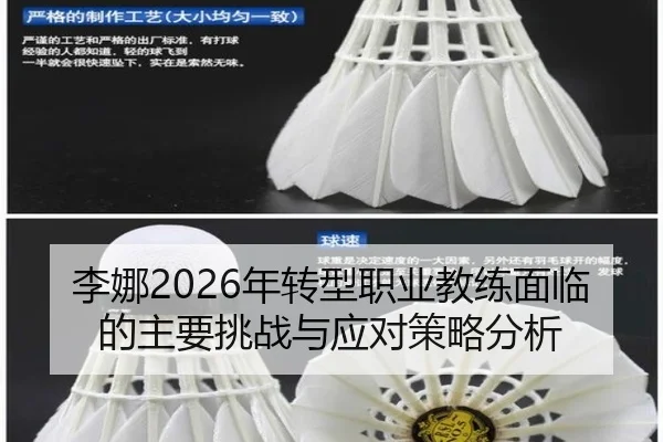 李娜2026年转型职业教练面临的主要挑战与应对策略分析